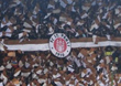 Best-Of FC St. Pauli
