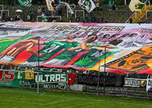 Fanfotos BSG Chemie Leipzig - SG LVB Leipzig (14.06.2014)