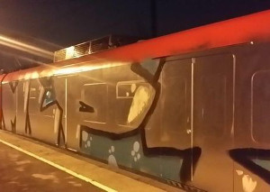 VfL Bochum Graffiti auf S-Bahn in Bochum-Ehrenfeld