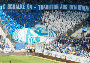 TSG Hoffenheim - FC Schalke 04 (25.09.2016) 2:1