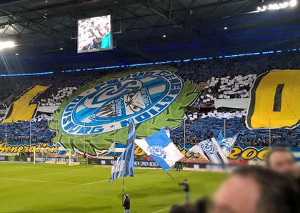 MSV Duisburg - 1. FC Magdeburg (24.02.2017) 0:0