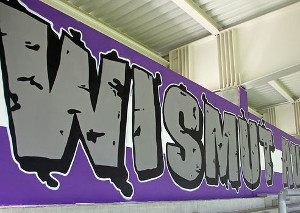 Graffiti auf der Westtribüne im Erzgebirgsstadion