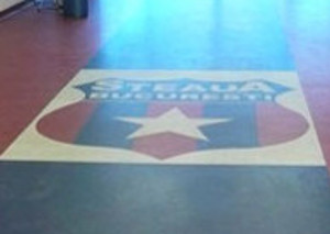Steaua hat nun ein neues Vereinslogo?